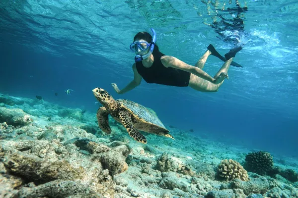 Baros Maldives stellt neue Eco Explorer Experience vor Bild: Baros Maldives stellt neue Eco Explorer Experience vor