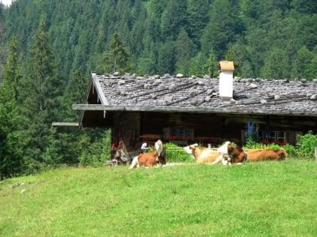 Almflirt - die echte Singlereise