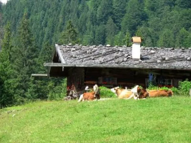 Bild: Almflirt -die Single-mit-Kind Reise