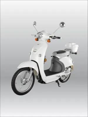 Bild: LAUTLOS-DURCH-HEIDELBERG und Stadtwerke Heidelberg präsentierten den Elektroroller Elbike + FoXstrom