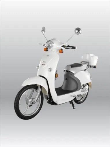 Bild: LAUTLOS-DURCH-HEIDELBERG und Stadtwerke Heidelberg präsentierten den Elektroroller Elbike + FoXstrom