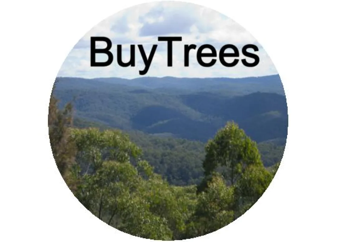 Waldrodung bedroht uns alle