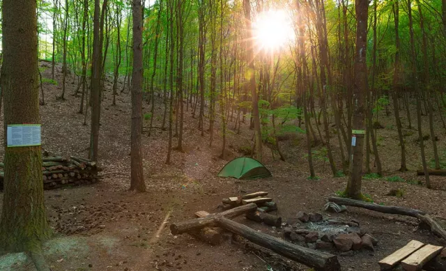Bild: Das Abenteuer wartet - Erfahrungen mit Trekking Pfalz