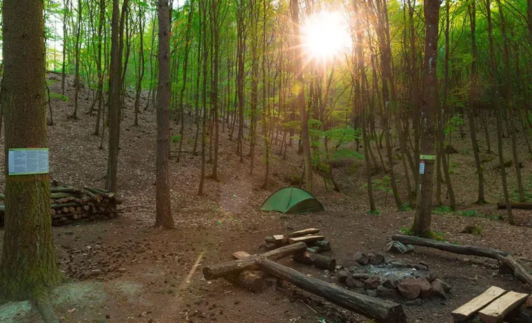 Das Abenteuer wartet - Erfahrungen mit Trekking Pfalz Bild: Das Abenteuer wartet - Erfahrungen mit Trekking Pfalz