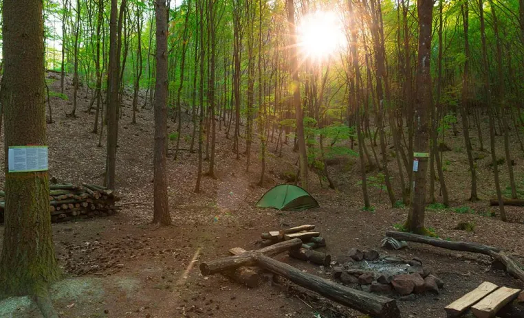 Bild: Das Abenteuer wartet - Erfahrungen mit Trekking Pfalz