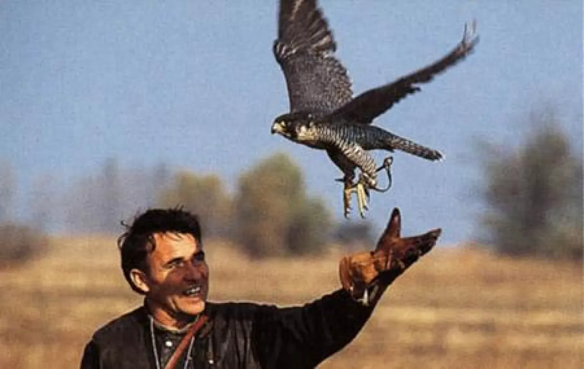 Natur von ihrer nicht alltäglichen Seite : Ein Falkner 