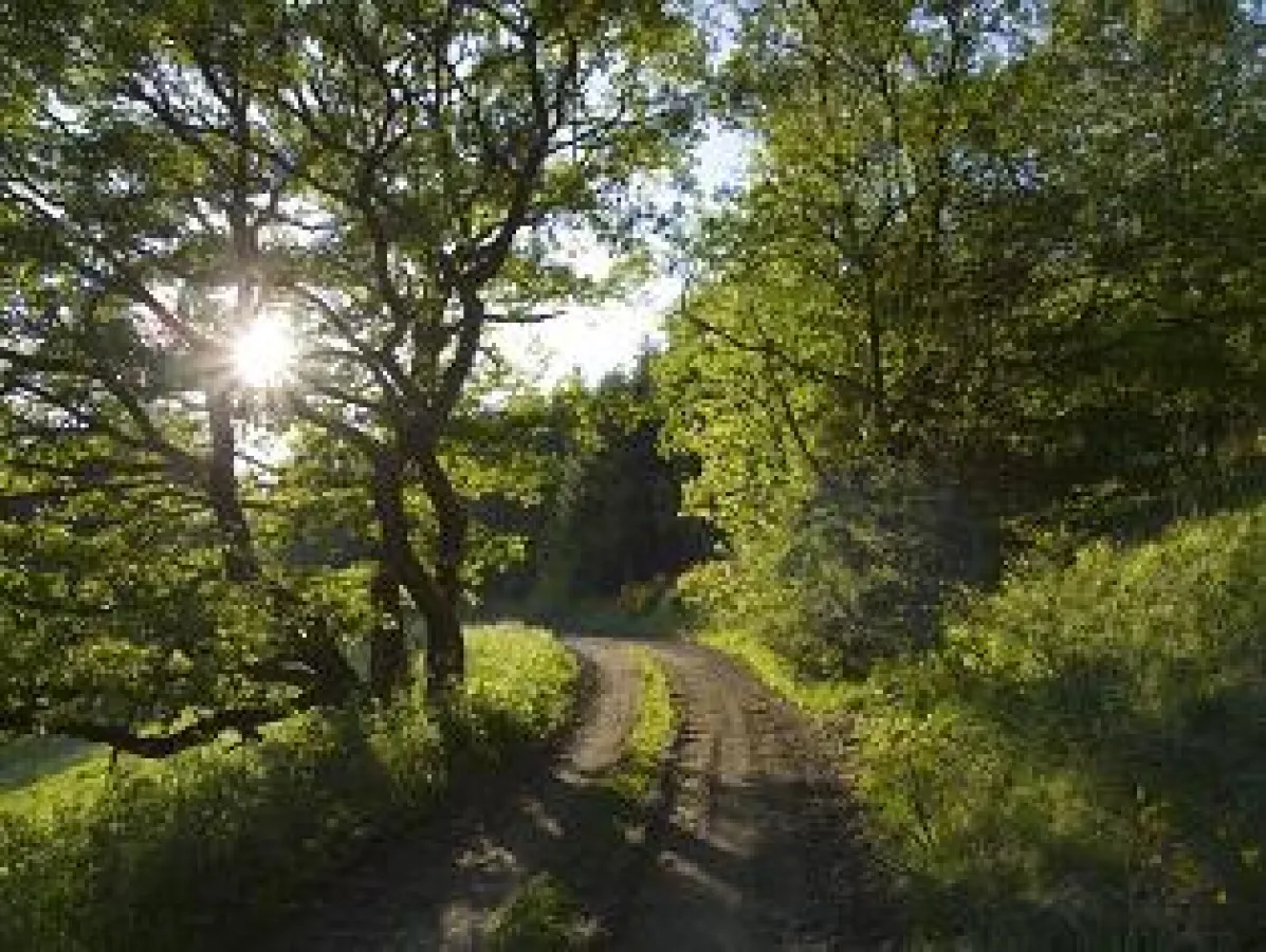 Erholung in der Natur bietet ein Urlaub im Sauerland.