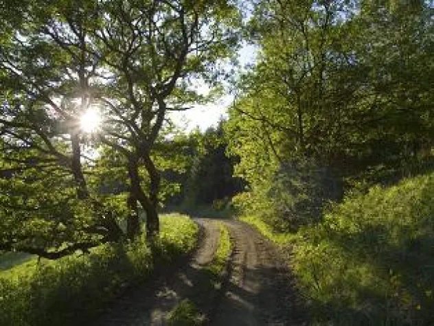 Bild: Pfingsten im Sauerland – Drei Übernachtungen buchen, nur zwei bezahlen