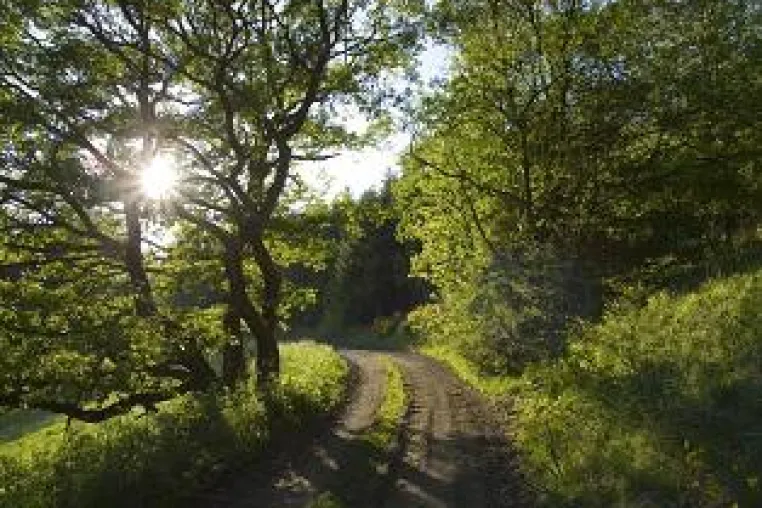 Pfingsten im Sauerland – Drei Übernachtungen buchen, nur zwei bezahlen Bild: Pfingsten im Sauerland – Drei Übernachtungen buchen, nur zwei bezahlen