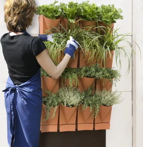 Bild: Urban Gardening geht die Wände hoch!