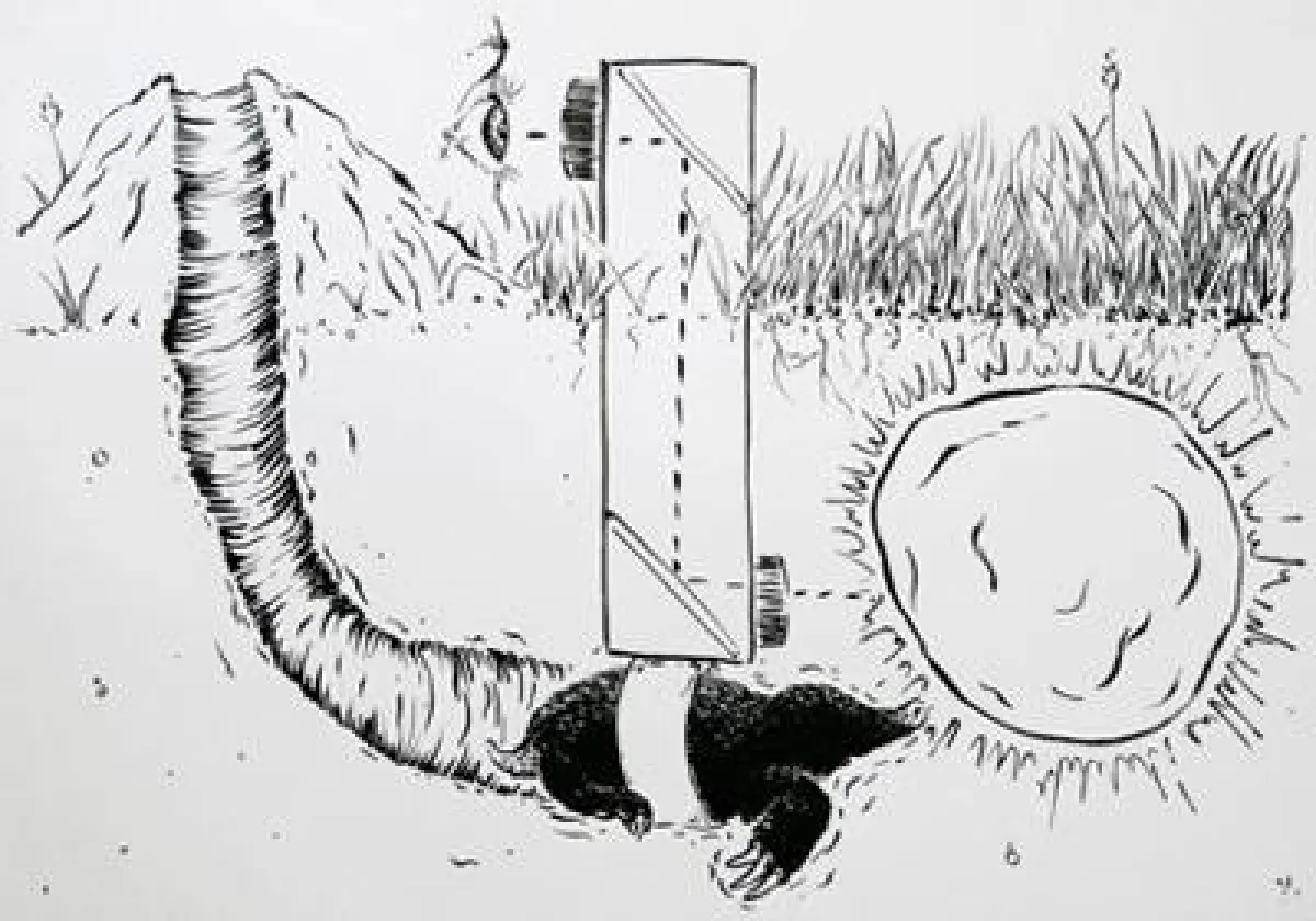 Malte Kirschner, aus der Serie drawn again, 2010, Tusche auf Papier