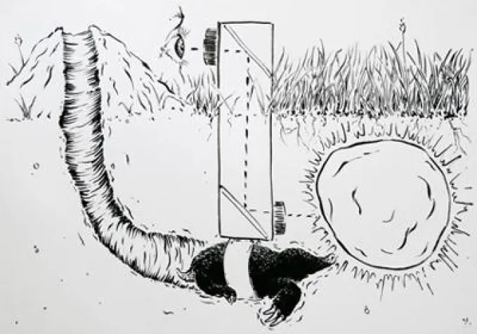 Malte Kirschner - drawn again Bild: Malte Kirschner - drawn again