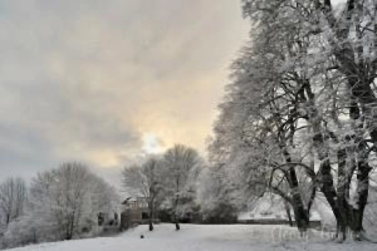 Winterfotografie auf BURG FÜRSTENECK