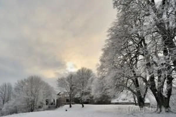 Bild: Winterstille - Fotografieren im Winter - Semiar auf BURG FÜRSTENECK