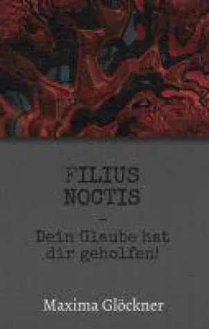 Bild: Filius Noctis - ein mysteriöser Entwicklungsroman