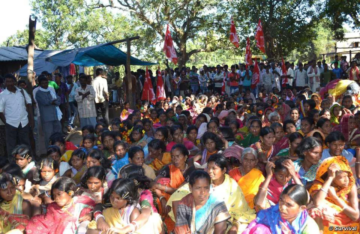 Tausende protestierten in Odisha gegen Vedantas Mine. © Bikash Khemka/Survival