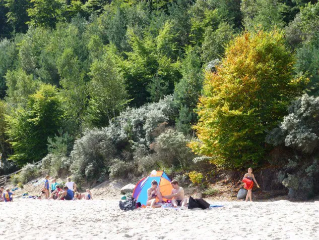 Bild: Herbst auf Usedom