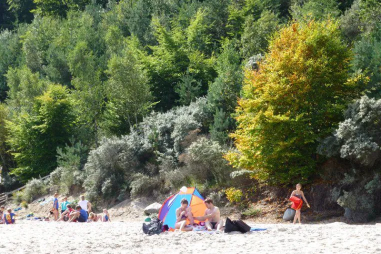 Bild: Herbst auf Usedom