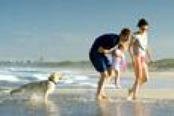 Bild: Hundestrand und Hundeunterkunft in Grömitz - Ostsee