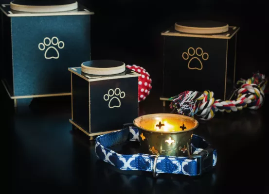 Bild: Nachhaltige Tierbestattung: Zwei Gründer setzen auf Würde und Individualität