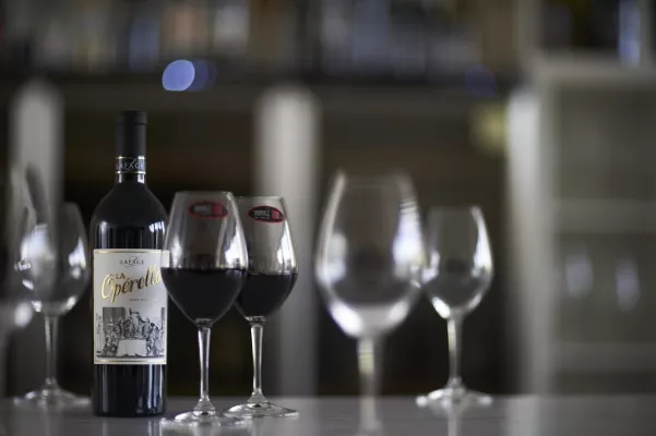 Bild: Weinglas Innovation von RIEDEL- Das BELViNi-PROFi-TASTiNG-GLAS