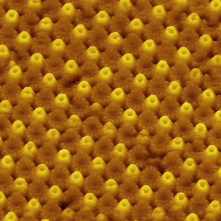 Aufnahme mit dem Rasterkraftmikroskop