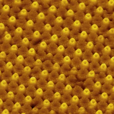 BLICK IN DIE WELT DER ZELLEN WIRD SCHÄRFER Bild: BLICK IN DIE WELT DER ZELLEN WIRD SCHÄRFER