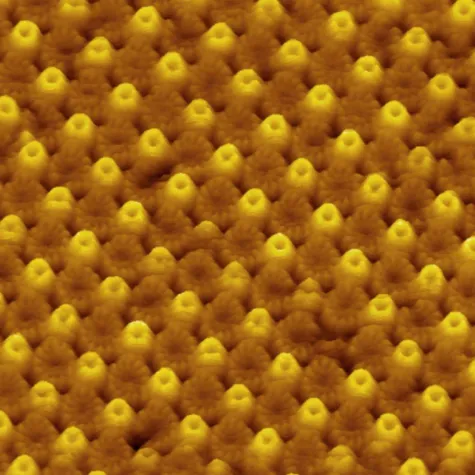 Bild: BLICK IN DIE WELT DER ZELLEN WIRD SCHÄRFER