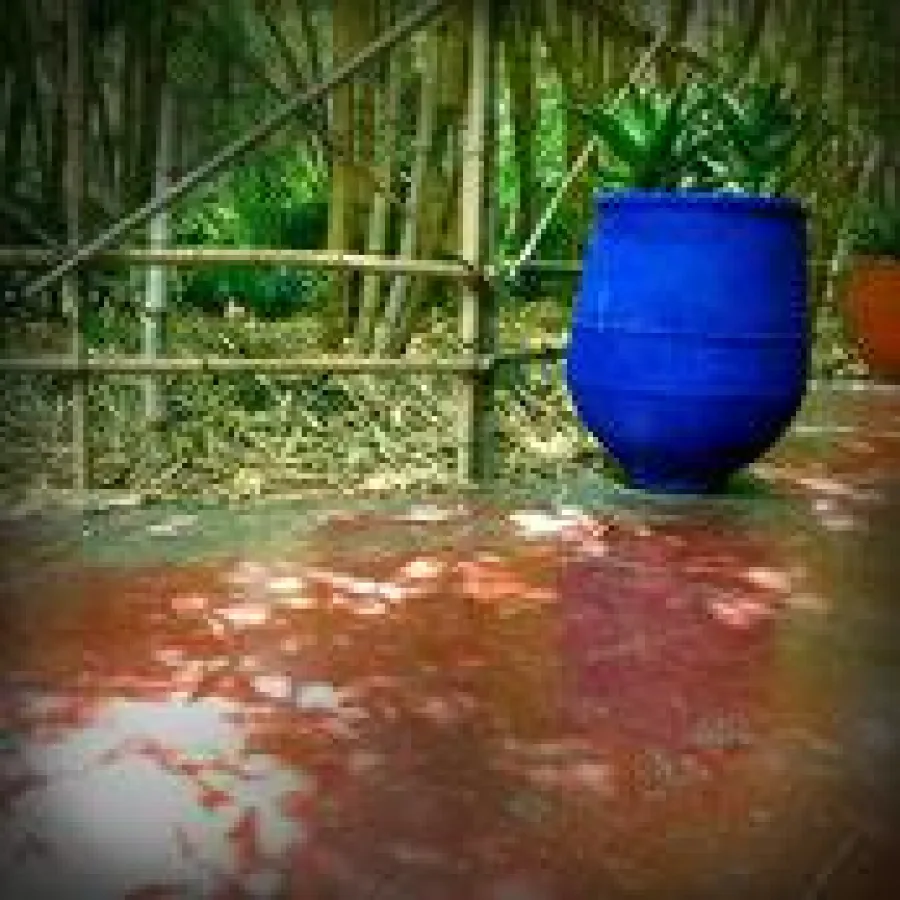 Marrakesch vom Feinsten - Der Jardin Majorelle