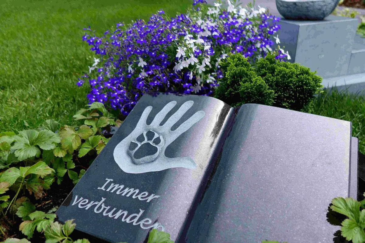 Grab Unser Hafen