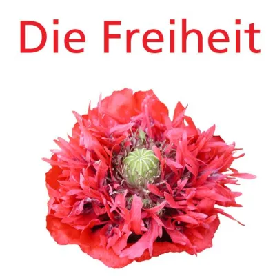 Bild: Medicment: Jetzt auch dynamische Umrechnung von Messergebnissen möglich