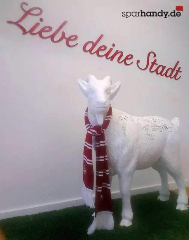 Hennes, ein Geschenk des 1. FC Köln an Sparhandy