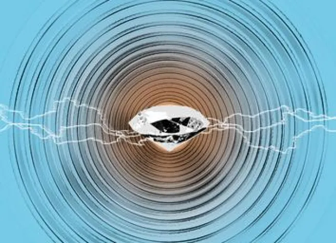 Bild: Sorgen für Bewegung – Piezo- und Ultraschalltechnik