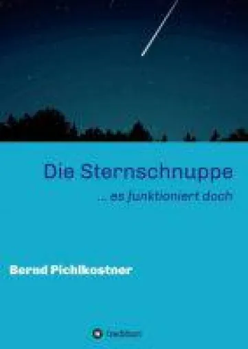 Bild: Die Sternschnuppe -  Roman setzt sich mit Ehrlichkeit, Familienglück und Wunscherfüllung auseinander