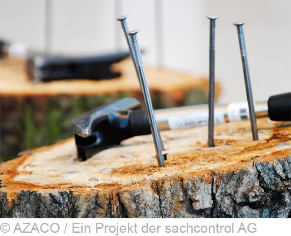 Den Nagel auf den Kopf getroffen - AZACO beim Messekongress in Leipzig