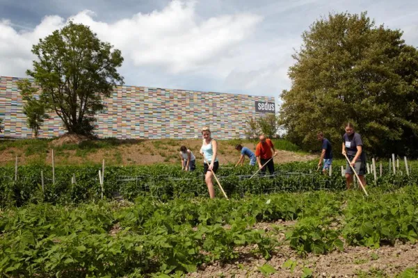 Sedus: Weitere Bausteine des Ökopioniers zur nachhaltigen Unternehmensführung Bild: Sedus: Weitere Bausteine des Ökopioniers zur nachhaltigen Unternehmensführung