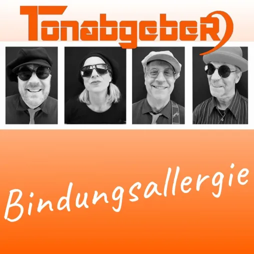 Bild:  "Bindungsallergie " die hat musikalisch die Band Tonabgeber 