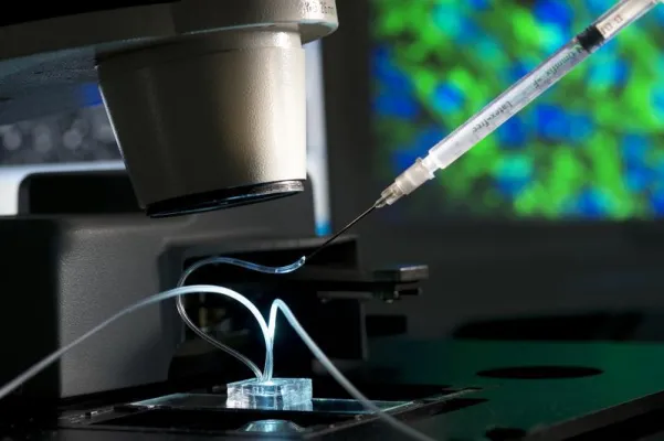 Bild: Fraunhofer IGB wirkt bei Gestaltung des europäischen Fahrplans für Organ-on-a-Chip-Technologie mit