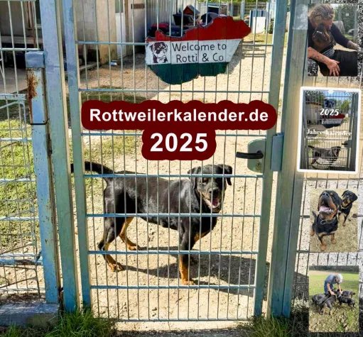 Bild: Facebook-Gruppe "Unsere Rottis & Co, in der Auffangstation die Vergessenen" hilft geretteten Hunden in Not