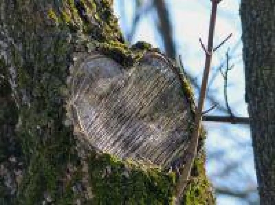 Nachhaltig für die Zukunft der Natur - für unsere Kinder!