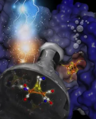 Artifizielle Enzyme für die Wasserstoffkonversion Bild: Artifizielle Enzyme für die Wasserstoffkonversion