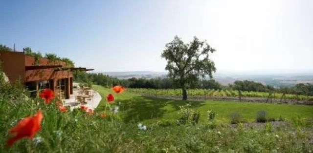 Bild: Edle Tropfen für alle Sinne