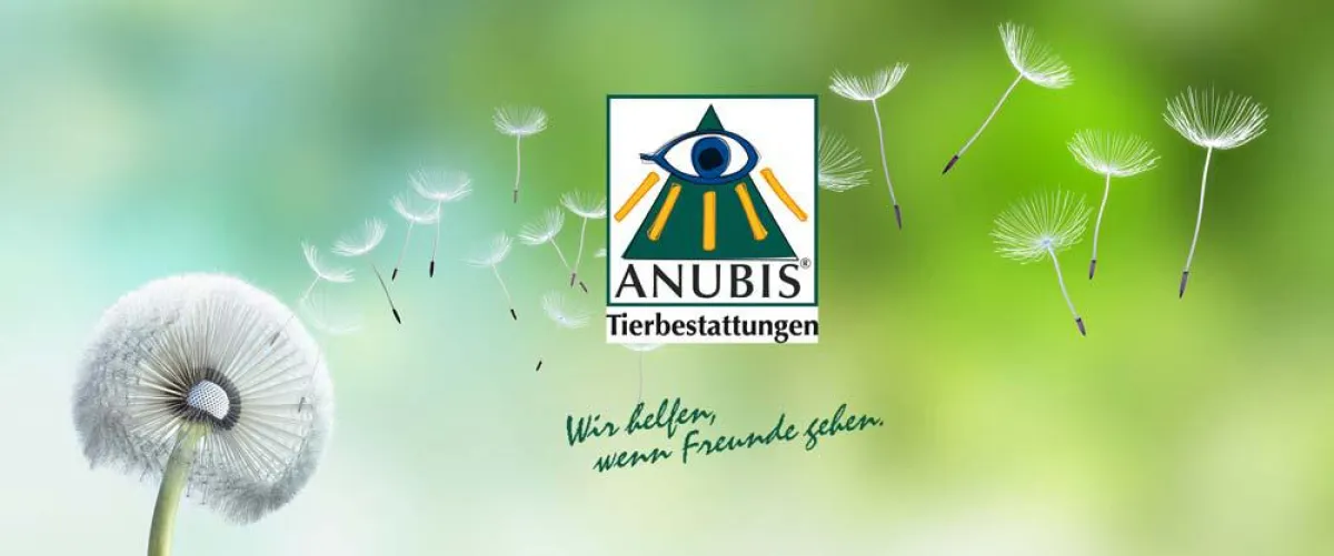 ANUBIS: Wir helfen, wenn Freunde gehen