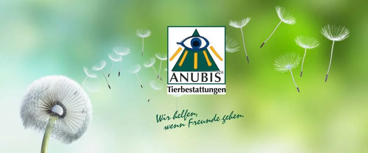 ANUBIS: Wir helfen, wenn Freunde gehen