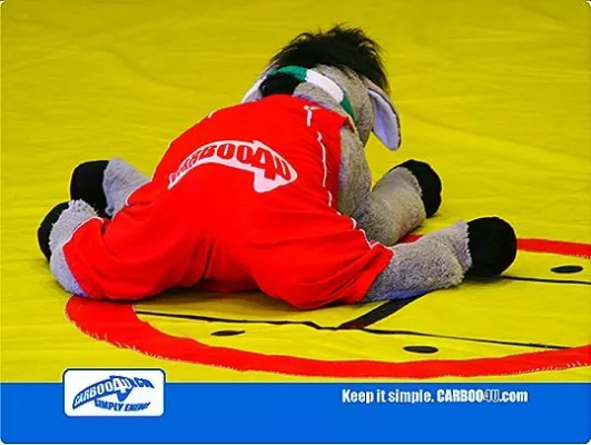 Bild: Carboo4U Sporternährung freut sich mit den Bonner Ringern auf den Bundesliga-Wettkampf gegen KSV Köllerbach