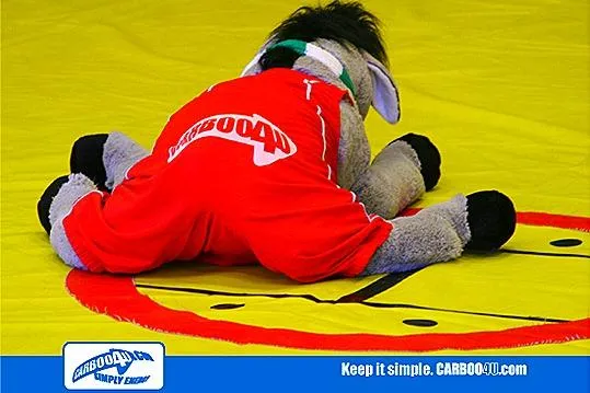 Bild: Carboo4U Sporternährung freut sich mit den Bonner Ringern auf den Bundesliga-Wettkampf gegen KSV Köllerbach