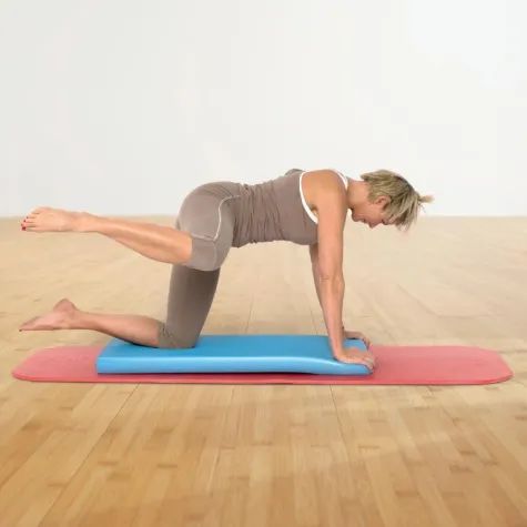 AIREX® Balance-pad XLarge: Balance-Training in einer neuen Dimension Bild: AIREX® Balance-pad XLarge: Balance-Training in einer neuen Dimension