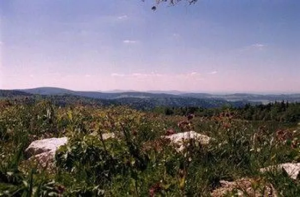 Der Lusen lockt als bayerisches Naturwunder Bild: Der Lusen lockt als bayerisches Naturwunder