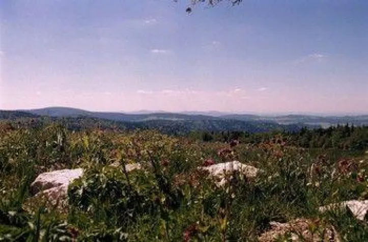 Bild: Der Lusen lockt als bayerisches Naturwunder
