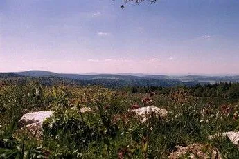 Der Lusen lockt als bayerisches Naturwunder Bild: Der Lusen lockt als bayerisches Naturwunder